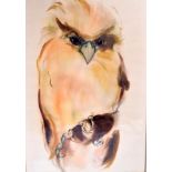 KLAUS MEYER-GASTERS (1925-2016) FRAMED WATERCOLOUR, signed in pencil, study of an owl. 43 cm x 30 c