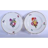 A PAIR OF 18TH CENTURY CONTINENTAL PORCELAIN PLATES possibly Italian, painted with flowers. 23.5 cm