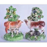 18th c. Derby pair of cow and calf groups. 15.5cm high