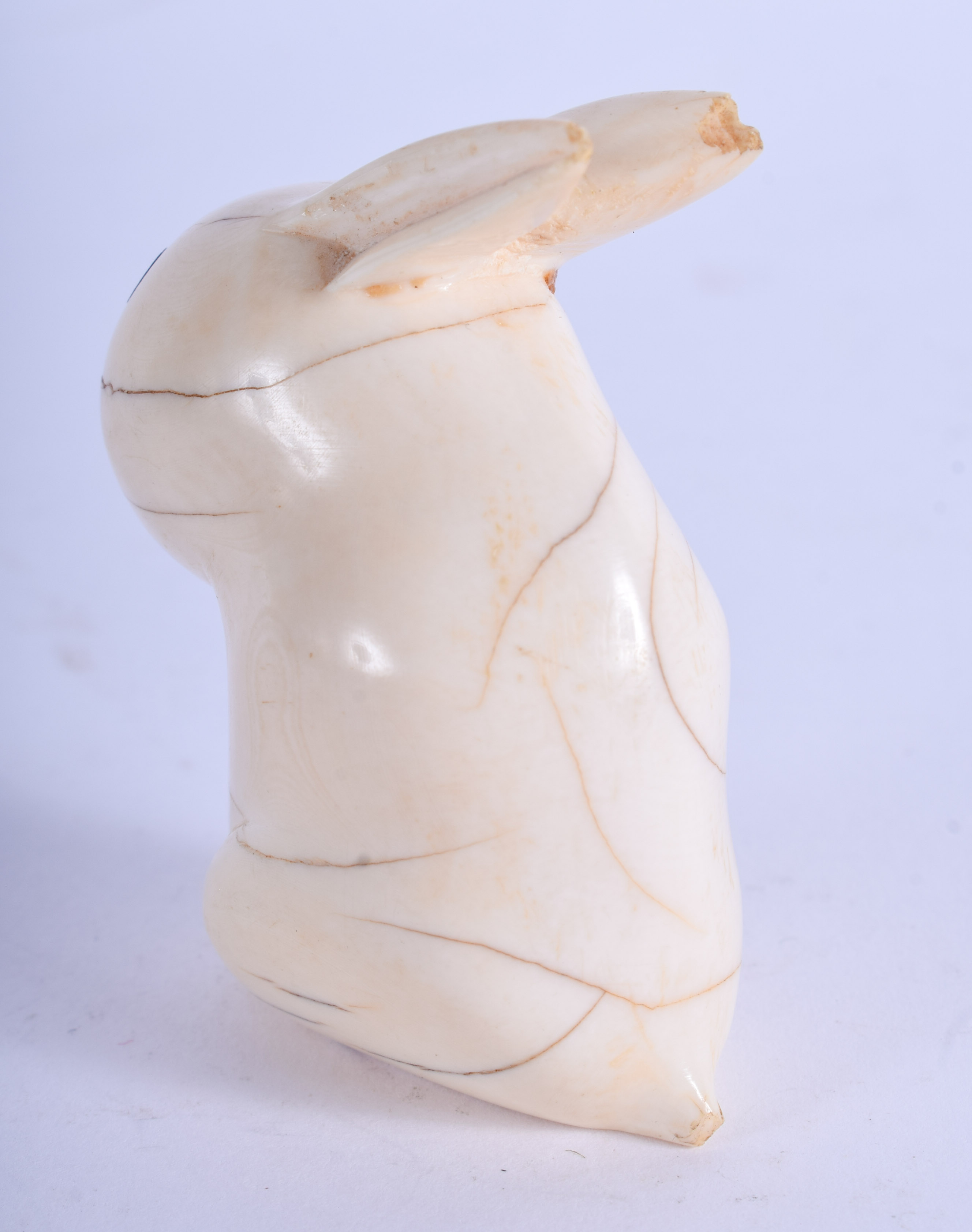 AN EARLY 20TH CENTURY JAPANESE MEIJI PERIOD CARVED IVORY RABBIT. 5.5 cm x 3.5 cm. - Image 2 of 3