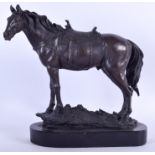 A BRONZE FIGURE OF A STANDING HORSE, modelled upon a naturalistic outcrop. 26 cm x 27 cm.