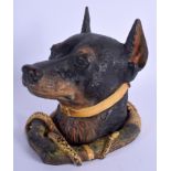 AN ANTIQUE COLD PAINTED BRONZE HUNTING DOG INKWELL modelled entwined within a whip and hoof. 16 cm x