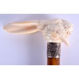 A RARE 19TH CENTURY CONTINENTAL CARVED IVORY HARE HEAD WALKING CANE with rococo plated ferrel. 83 cm