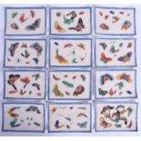 A SET OF TWELVE 19TH CENTURY CHINESE PITH PAPER PAINTINGS Qing, depicting butterflies. 16 cm x 12 cm