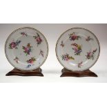 A PAIR OF ANTIQUE SEVRES STYLE PLATES. 22 cm wide.