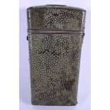 A GEORGE III SHAGREEN SILVER MOUNTED ETUI with fully fitted interior. 13 cm x 7 cm.