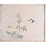 A SET OF FOUR LATE 19TH CENTURY CHINESE INK WATERCOLOUR PANELS depicting birds amongst foliage. 48 c