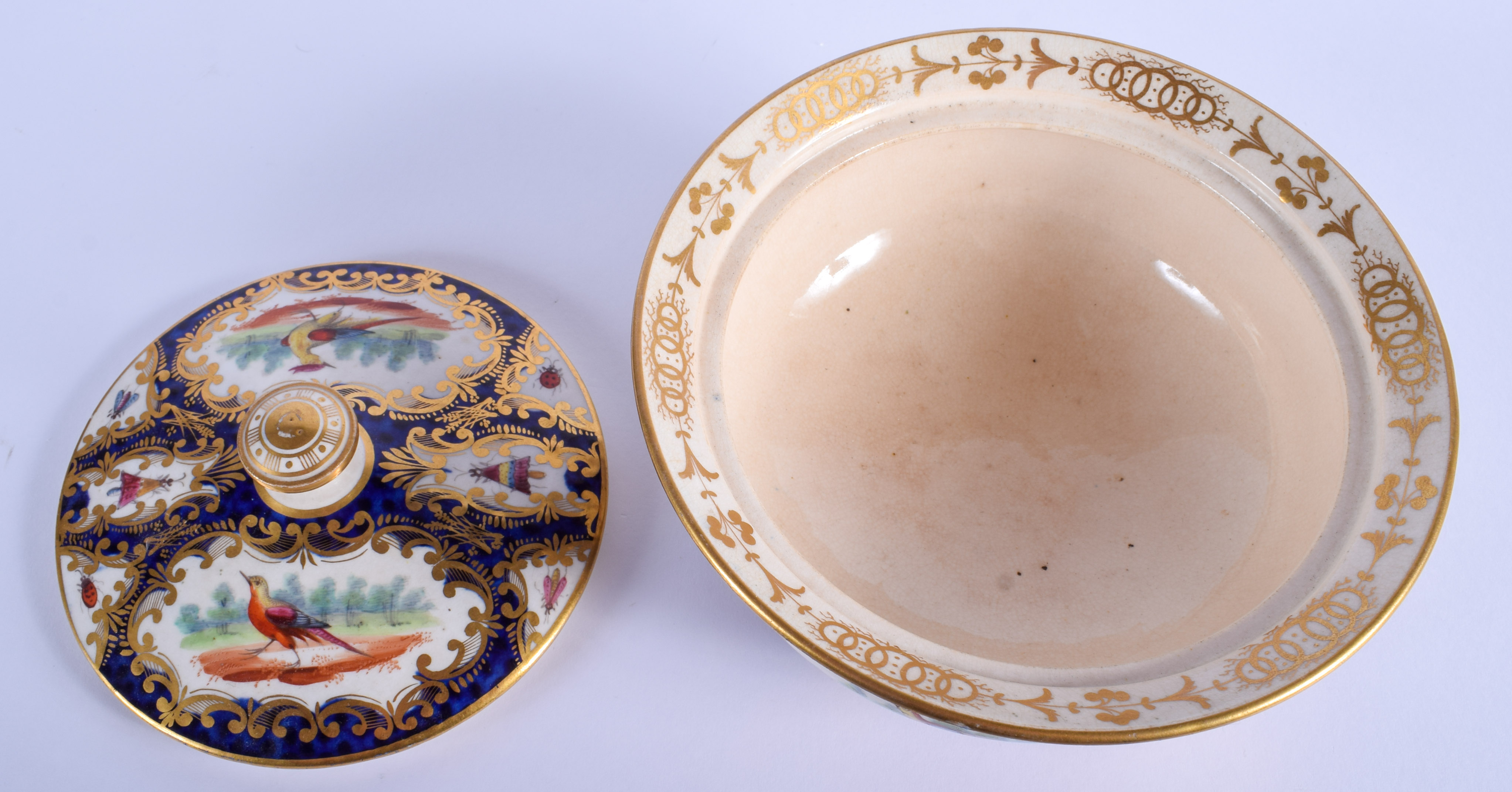 19th c. English porcelain sucrier and cover painted with exotic birds on a blue scale ground probabl - Image 3 of 4