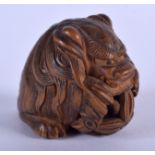 A 19TH CENTURY JAPANESE MEIJI PERIOD BOXWOOD NETSUKE formed as a dog holding an open ball. 3.5 cm wi
