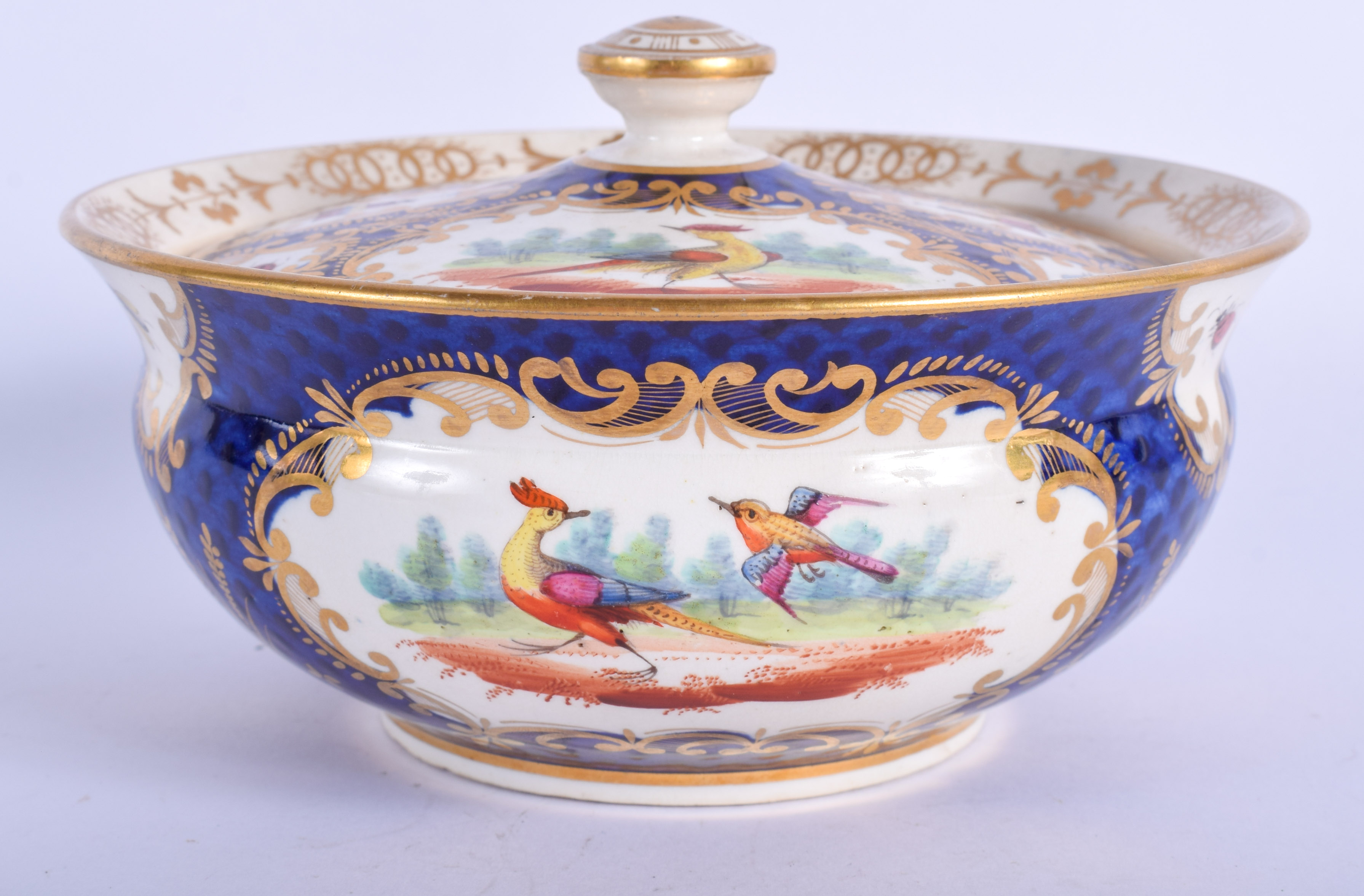 19th c. English porcelain sucrier and cover painted with exotic birds on a blue scale ground probabl