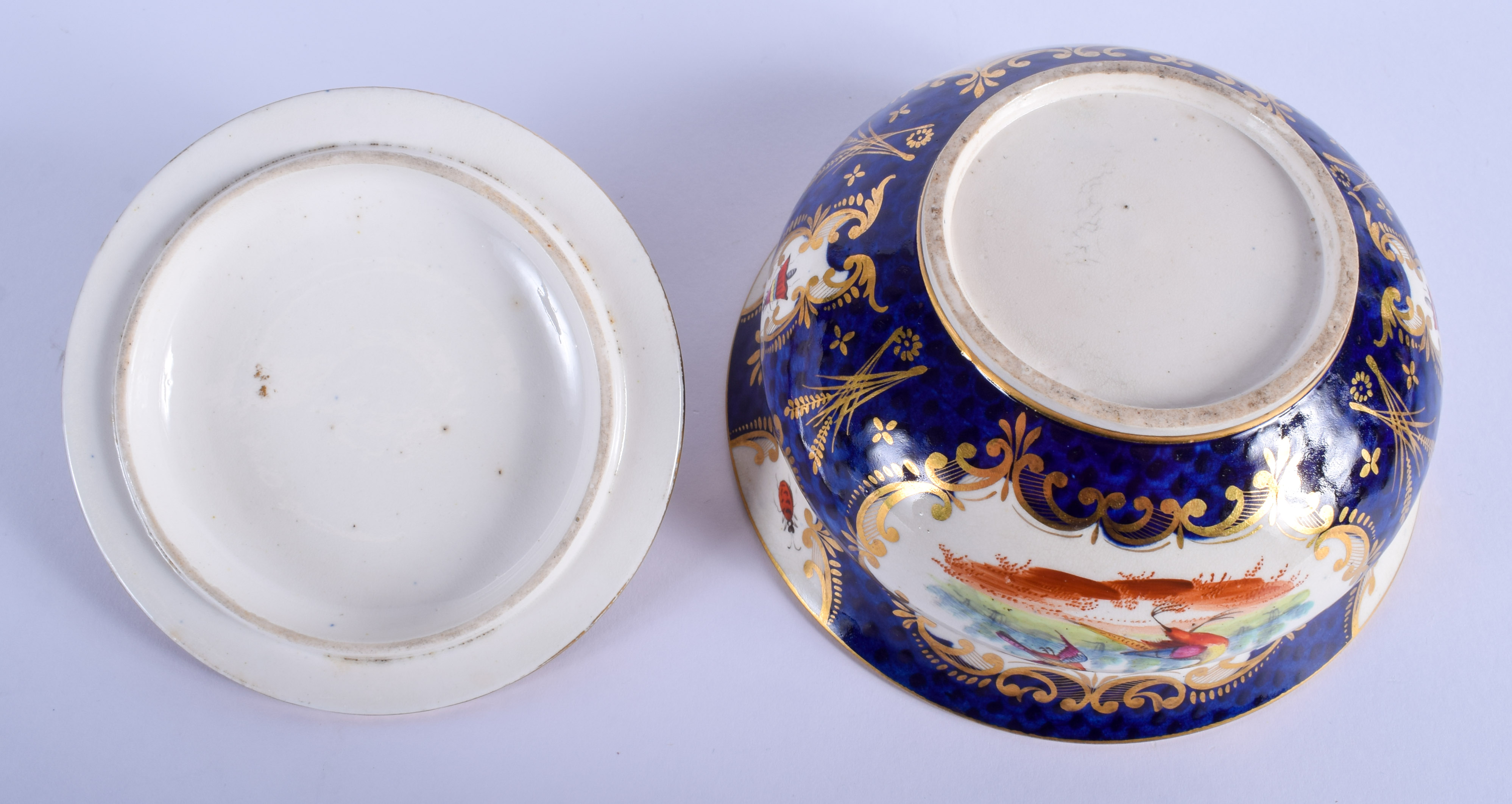 19th c. English porcelain sucrier and cover painted with exotic birds on a blue scale ground probabl - Image 4 of 4