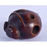 AN 18TH CENTURY JAPANESE EDO PERIOD BOXWOOD NETSUKE of naturalistic form. 5 cm x 3.5 cm.