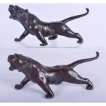 A PAIR OF 19TH CENTURY JAPANESE MEIJI PERIOD BRONZE TIGERS modelled roaming. 23 cm long.