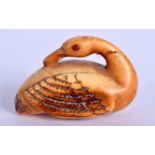 AN 18TH19TH CENTURY JAPANESE EDO PERIOD CARVED IVORY NETSUKE modelled as a swan. 4 cm x 2.25 cm.