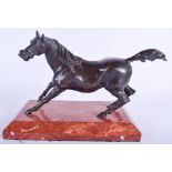 A CONTEMPORARY BRONZE STUDY OF A HORSE. 26 cm x 21 cm.