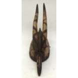 A TRIBAL MOSSI WAN NYAKA ANTELOPE MASK. Burkina Faso. 14cm x 20cm x 54cm