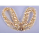 AN EDWARDIAN YELLOW METAL TRIPLE PEARL NECKLACE. 38 cm long.