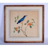 A 19TH CENTURY CONTINENTAL WATERCOLOUR OF A BIRD modelled amongst foliage. 32 cm square.