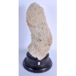 AN EARLY 20TH CENTURY CONTINENTAL WHITE CORAL SPECIMAN. Largest 31 cm high.