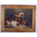 A FINE 19TH CENTURY CONTINENTAL OIL ON CANVAS Recumbant hounds. Image 34 cm x 24 cm.