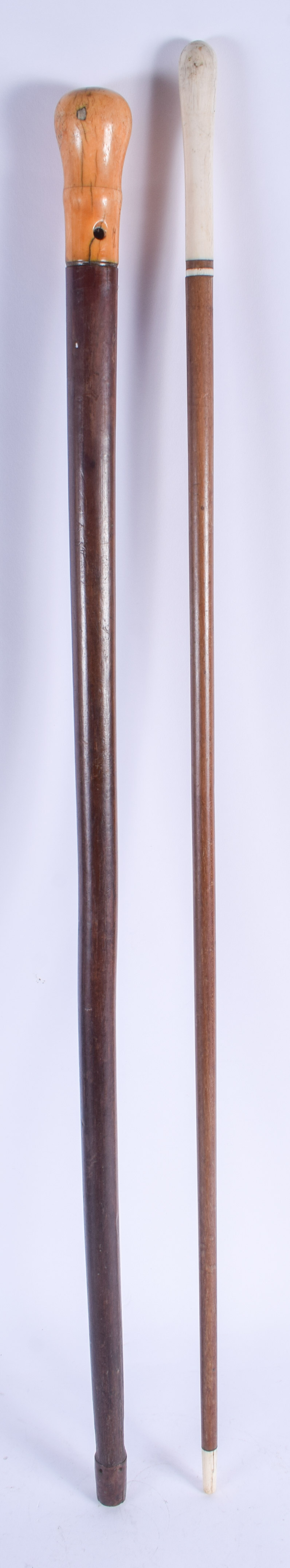 A LATE 18TH CENTURY IVORY HANDLED CANE together with another. 84 cm long. (2) - Image 3 of 3