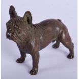 A CONTINENTAL BRONZE FIGURE OF A PUG DOG. 7.5 cm x 6 cm.