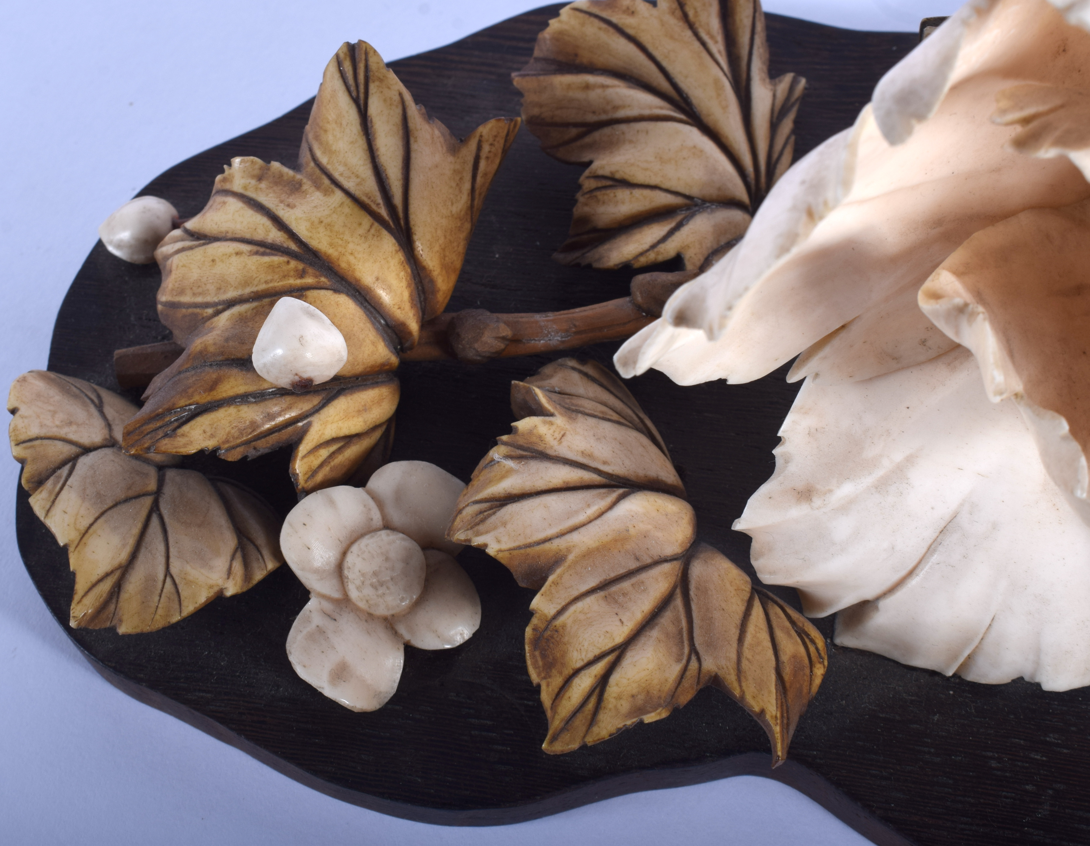 A 19TH CENTURY JAPANESE MEIJI PERIOD CARVED IVORY FLOWERS of naturalistic form. 19 cm x 12 cm. - Image 4 of 4