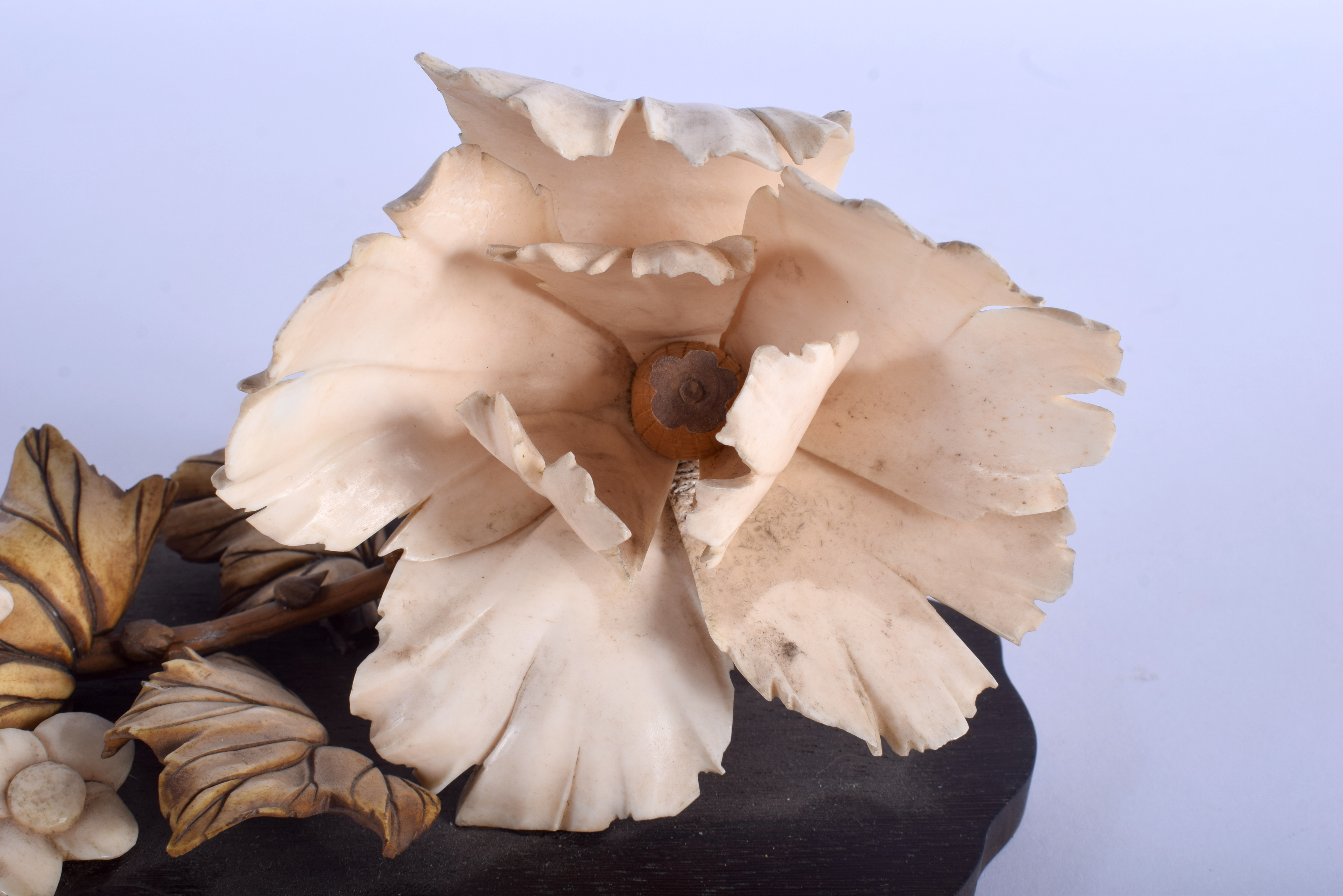 A 19TH CENTURY JAPANESE MEIJI PERIOD CARVED IVORY FLOWERS of naturalistic form. 19 cm x 12 cm. - Image 3 of 4