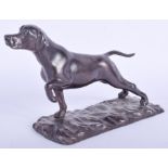 AN EARLY 20TH CENTURY EUROPEAN BRONZE FIGURE OF A HOUND upon a rectangular base. 14 cm x 10 cm.