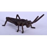 A JAPANESE BRONZE INSECT. 9 cm x 3 cm.