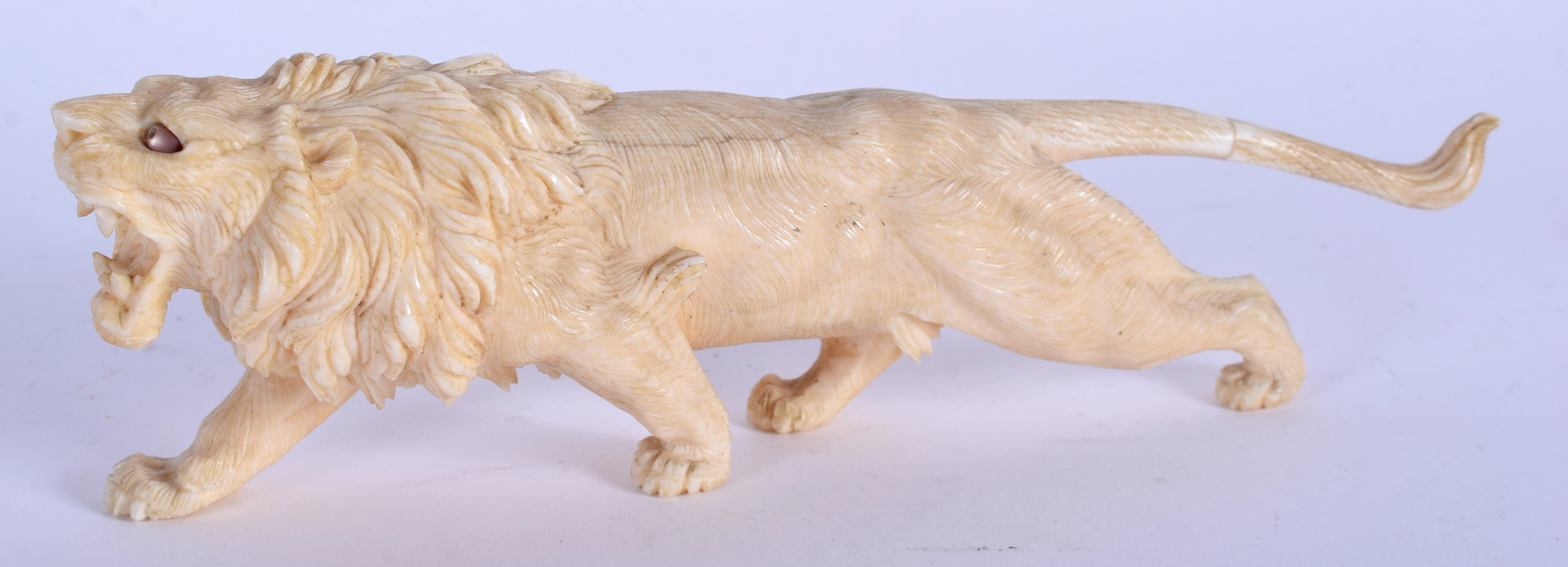 A 19TH CENTURY JAPANESE MEIJI PERIOD CARVED IVORY LION modelled roaming and scowling. 16.5 cm wide.