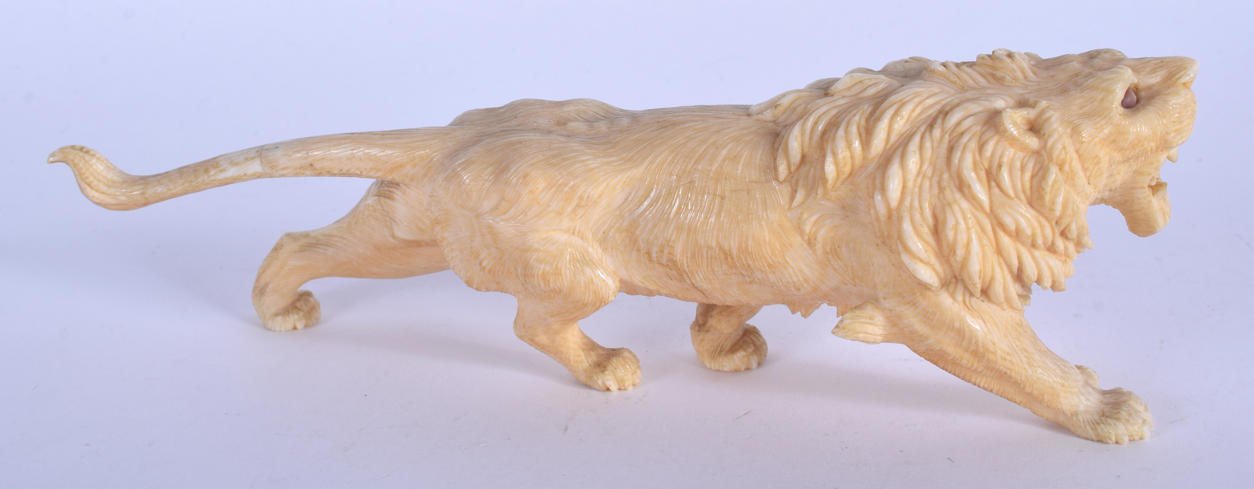 A 19TH CENTURY JAPANESE MEIJI PERIOD CARVED IVORY LION modelled roaming and scowling. 16.5 cm wide. - Image 2 of 3