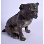 A LARGE CONTINENTAL COLD PAINTED BRONZE FIGURE OF A BULLDOG. 13 cm x 11 cm.