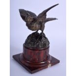 A 19TH CENTURY FRENCH ANIMALIER BRONZE BIRD upon a red marble base. 20 cm x 10 cm.
