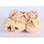 AN EARLY 20TH CENTURY JAPANESE MEIJI PERIOD CARVED IVORY NETSUKE modelled as hatching eggs. 3 cm x 2