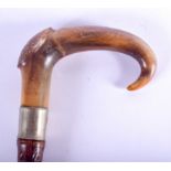 A 19TH CENTURY CONTINENTAL CARVED BUFFALO HORN HANDLED WALKING CANE. 88 cm long.