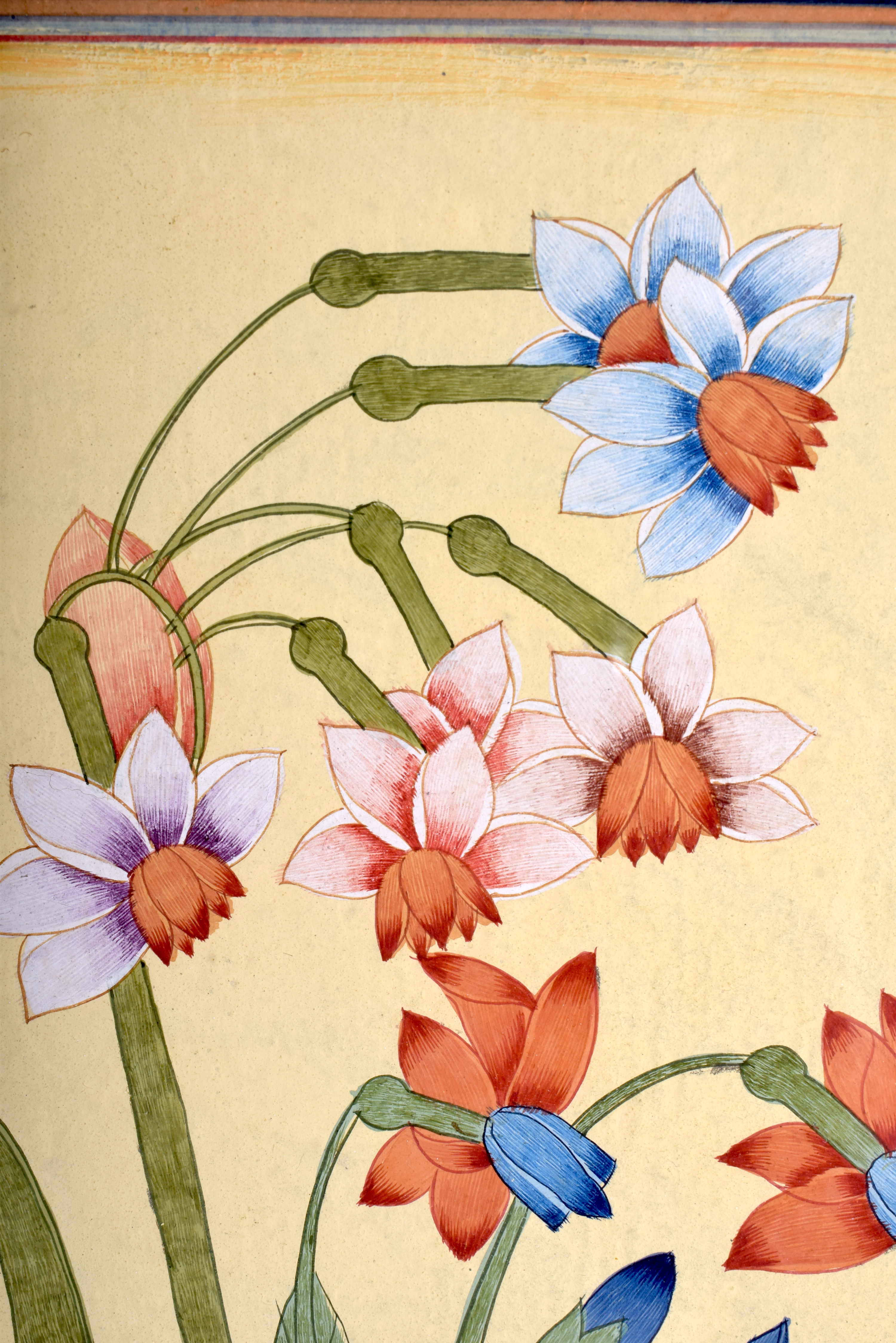 Mughal School (19th/20th Century) Gouache, Botanical flowers. Image 31 cm x 19 cm. - Image 2 of 2