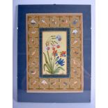 Mughal School (19th/20th Century) Gouache, Botanical flowers. Image 31 cm x 19 cm.