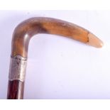 A 19TH CENTURY CONTINENTAL CARVED RHINOCEROS HORN HANDLED WALKING CANE. 80 cm long.
