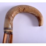 A 19TH CENTURY CONTINENTAL CARVED RHINOCEROS HORN WALKING CANE with silver presentation plaque. 88 c