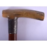 A 19TH CENTURY CONTINENTAL CARVED RHINOCEROS HORN HANDLED WALKING CANE. 88 cm long.