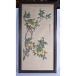 AN EARLY 20TH CENTURY CHINESE PAINTED WATERCOLOUR Late Qing/Republic, painted with fruiting pods. Im