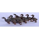 A 19TH CENTURY AUSTRIAN COLD PAINTED BRONZE GROUP modelled as a group of roaming ducks. 16 cm x 4 cm