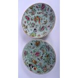 A PAIR OF 19TH CENTURY CHINESE CANTON FAMILLE ROSE PLATES Qing. 24 cm diameter.