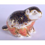 Royal Crown Derby imari paperweight of a Riverbank Beaver no. 2571 limited edition of 5000. 8 cm hig