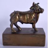 AN 18TH CENTURY ITALIAN BRONZE FIGURE OF A ROAMING BULL After Giambologna (1550-1620). 7.5 cm x 8.5