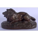 AN EARLY 20TH CENTURY FRENCH BRONZE FIGURE OF A LION modelled recumbent 17 cm x 9 cm.