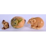 TWO JAPANESE TAGUA NUT NETSUKES together with a small carving. Largest 4 cm x 3 cm. (3)