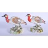 A PAIR OF 19TH CENTURY CONTINENTAL PORCELAIN FIGURES OF BIRDS modelled upon naturalistic bases. 15 c
