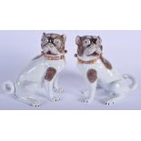 A PAIR OF EARLY 20TH CENTURY DRESDEN PORCELAIN FIGURES OF PUG DOGS Meissen style. 21 cm x 13 cm.